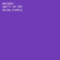 #6F3BB7 - Royal Purple Color Image