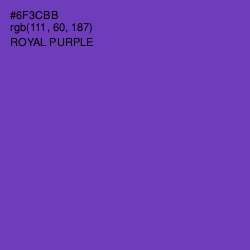 #6F3CBB - Royal Purple Color Image