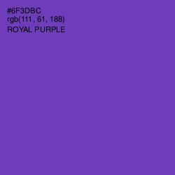 #6F3DBC - Royal Purple Color Image