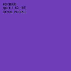 #6F3EBB - Royal Purple Color Image