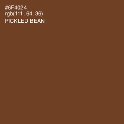 #6F4024 - Pickled Bean Color Image