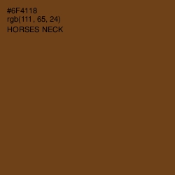 #6F4118 - Horses Neck Color Image