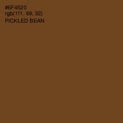 #6F4520 - Pickled Bean Color Image