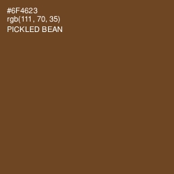 #6F4623 - Pickled Bean Color Image