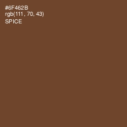 #6F462B - Spice Color Image