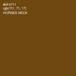 #6F4711 - Horses Neck Color Image