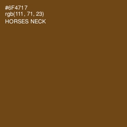 #6F4717 - Horses Neck Color Image