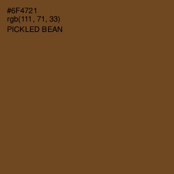 #6F4721 - Pickled Bean Color Image