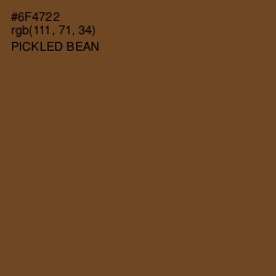 #6F4722 - Pickled Bean Color Image