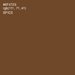 #6F4729 - Spice Color Image