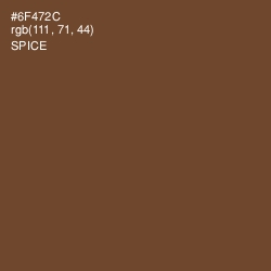 #6F472C - Spice Color Image