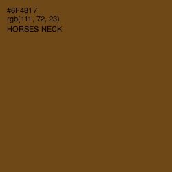 #6F4817 - Horses Neck Color Image