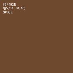 #6F492E - Spice Color Image