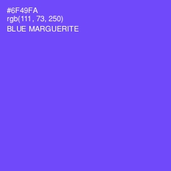 #6F49FA - Blue Marguerite Color Image