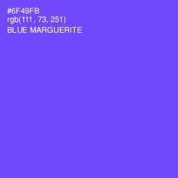 #6F49FB - Blue Marguerite Color Image