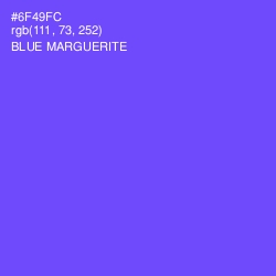 #6F49FC - Blue Marguerite Color Image