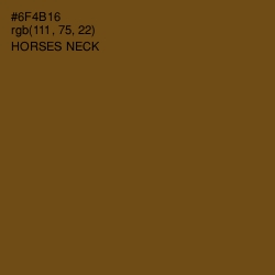 #6F4B16 - Horses Neck Color Image