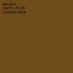 #6F4B19 - Horses Neck Color Image