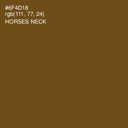 #6F4D18 - Horses Neck Color Image