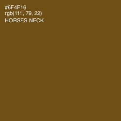 #6F4F16 - Horses Neck Color Image