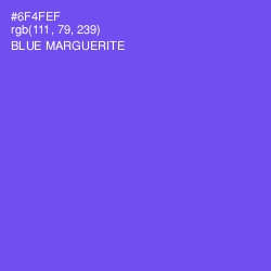 #6F4FEF - Blue Marguerite Color Image