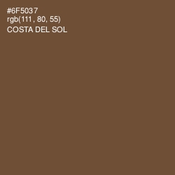 #6F5037 - Costa Del Sol Color Image