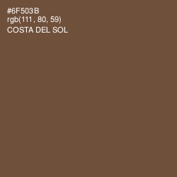 #6F503B - Costa Del Sol Color Image