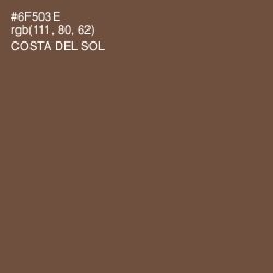 #6F503E - Costa Del Sol Color Image