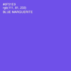 #6F51E9 - Blue Marguerite Color Image