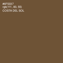 #6F5337 - Costa Del Sol Color Image