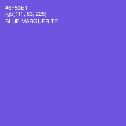 #6F53E1 - Blue Marguerite Color Image