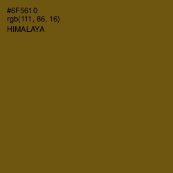 #6F5610 - Himalaya Color Image