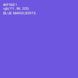 #6F56E1 - Blue Marguerite Color Image