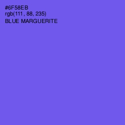 #6F58EB - Blue Marguerite Color Image