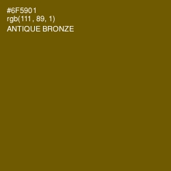 #6F5901 - Antique Bronze Color Image