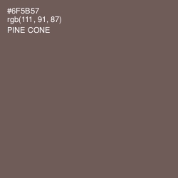 #6F5B57 - Pine Cone Color Image