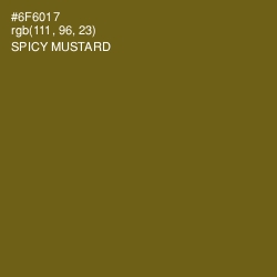 #6F6017 - Spicy Mustard Color Image