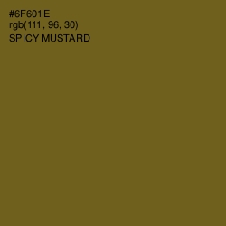 #6F601E - Spicy Mustard Color Image