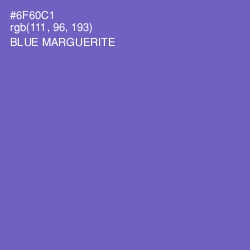 #6F60C1 - Blue Marguerite Color Image