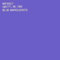 #6F60C7 - Blue Marguerite Color Image