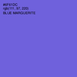 #6F61DC - Blue Marguerite Color Image