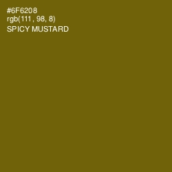 #6F6208 - Spicy Mustard Color Image