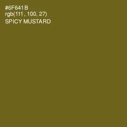 #6F641B - Spicy Mustard Color Image