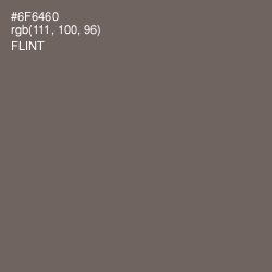 #6F6460 - Flint Color Image