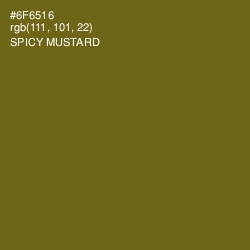 #6F6516 - Spicy Mustard Color Image
