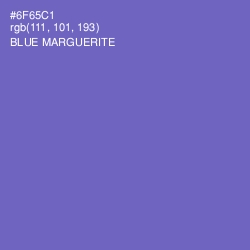 #6F65C1 - Blue Marguerite Color Image