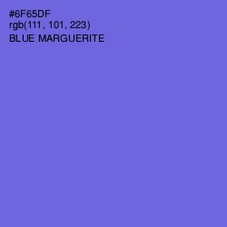 #6F65DF - Blue Marguerite Color Image