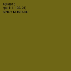 #6F6615 - Spicy Mustard Color Image