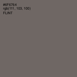 #6F6764 - Flint Color Image