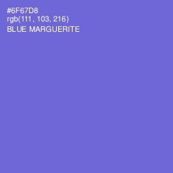 #6F67D8 - Blue Marguerite Color Image